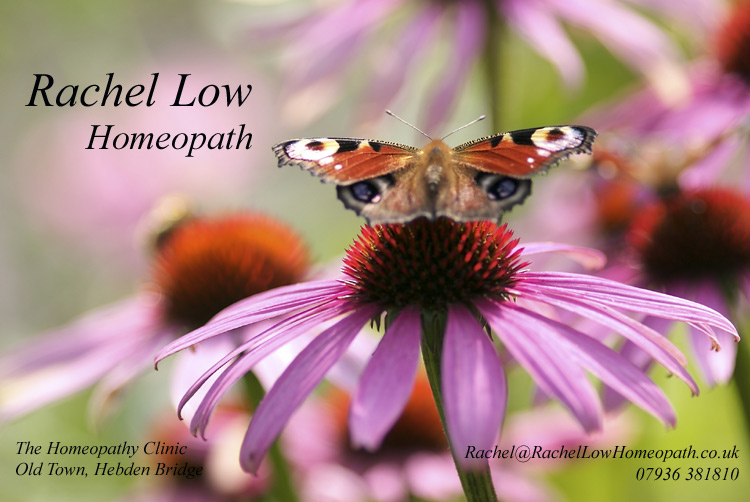 Rachel Low - Hebden Bridge - homoeopathy, homeopathy, homoeopath, homeopath